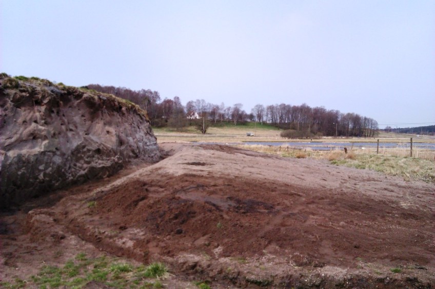 Backsvale-bon i parkmiljö