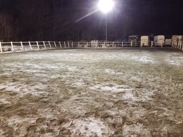 paddock_vinter