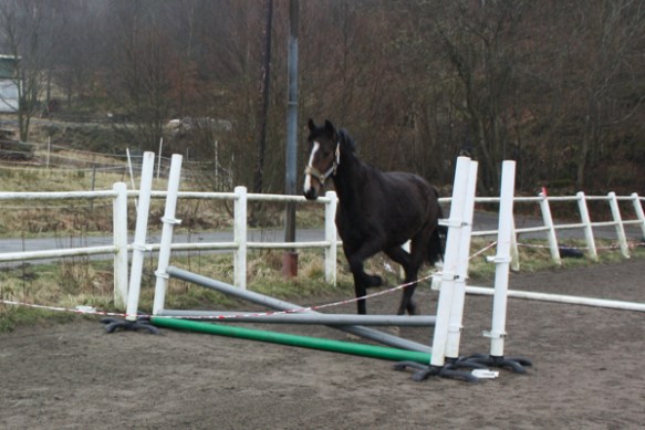 Börjar fatta galoppen!