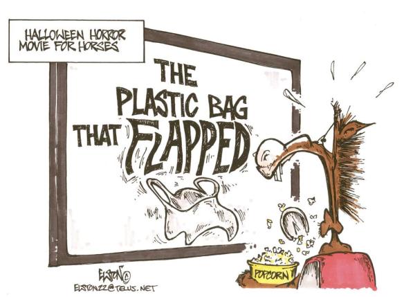 plastic bag