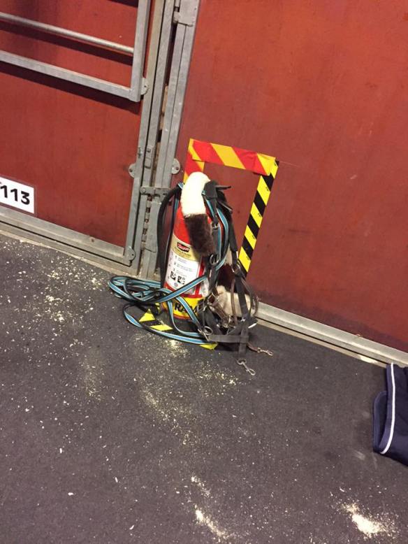 10985301_10207970641040297_607281125951836109_n