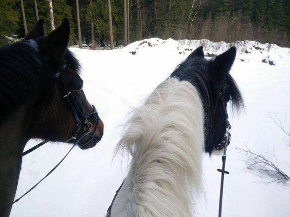 12064012_10153865633615851_1375586382_n