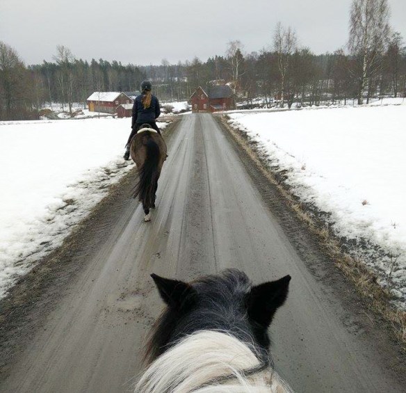 12825404_10153877721000851_1043763165_n