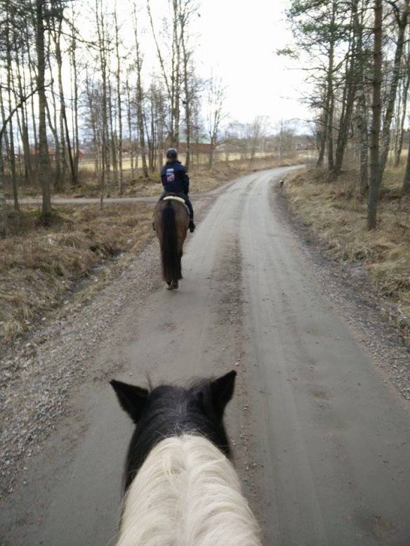 12895401_10153935063685851_777603244_n