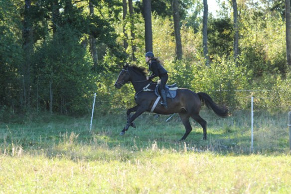 img_8079_zps9iq2qsbu