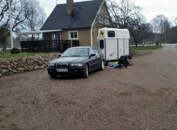 13046277_10153459213496128_1317203087_n