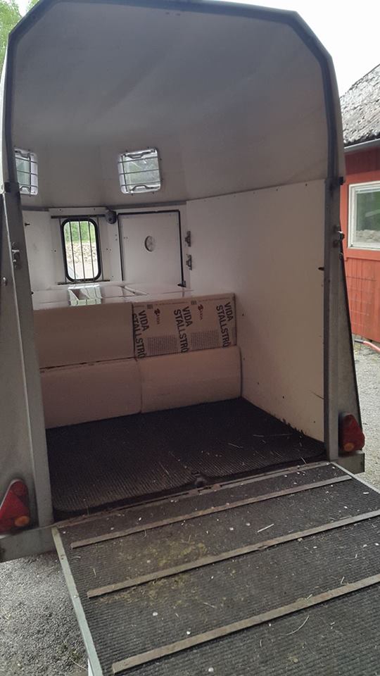 13236229_10153516988666128_1823416096_n