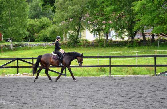 13461111_10153575520736128_1202348282_o