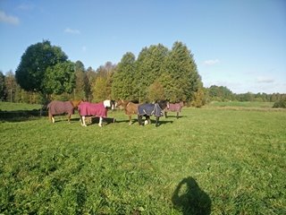 14542705_10154414058445851_1478445718_n