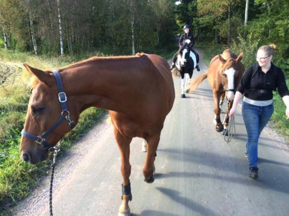 14550651_680449452107207_1625536560_o