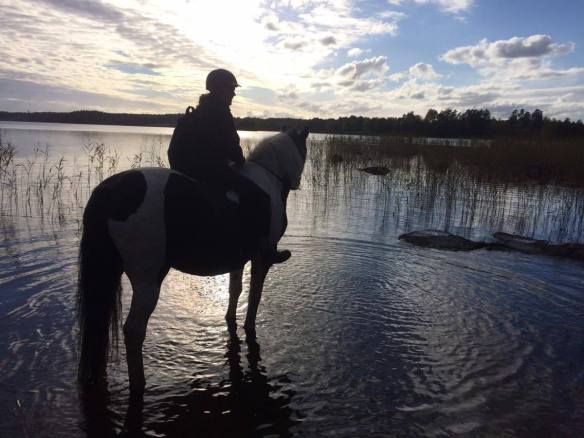 14551027_680449435440542_57375716_o