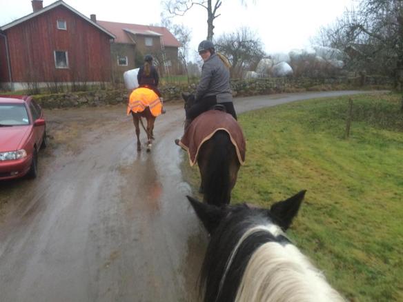 15301348_714981541987331_1418353033_n