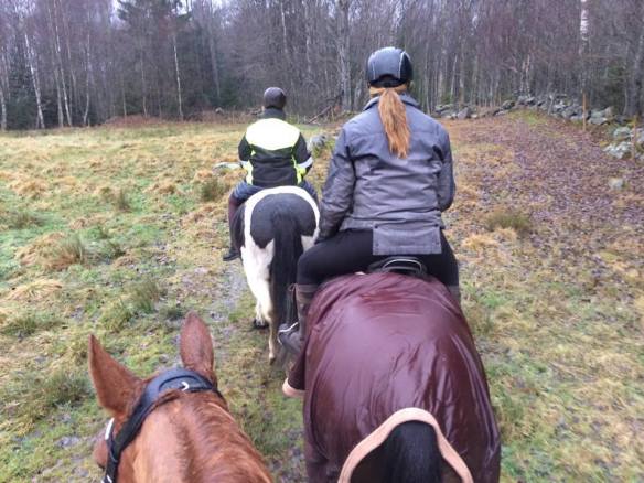 15310644_10154149012494021_2141026420_n