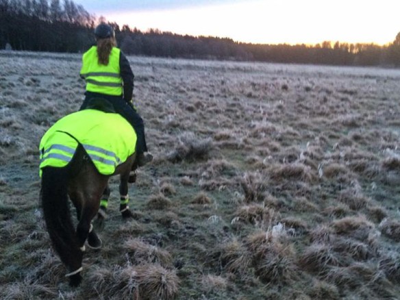 15319387_718584291627056_7933522_n