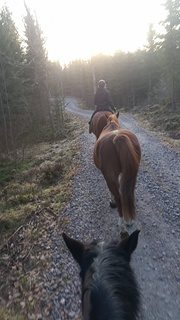 16343866_10154803135665851_154836031_n