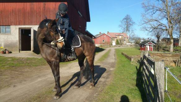 18261582_10155088424965851_1386031787_o