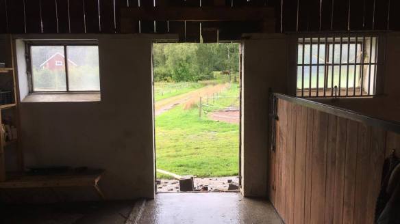 21146783_10214236845543055_1512675242_o