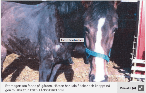 Skärmavbild 2017-11-06 kl. 15.45.44