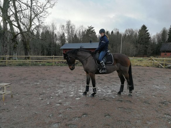 27157072_10155897570090851_1981325578_n