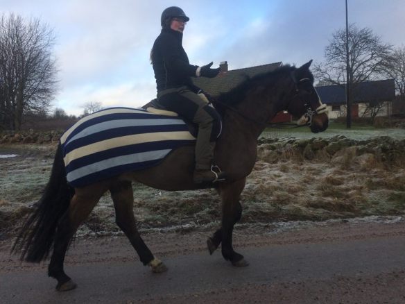 27394622_10155325941814021_1616189285_n