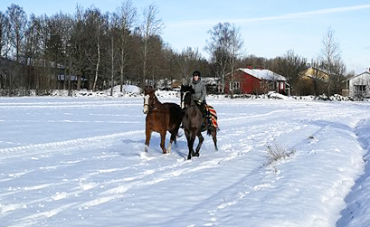 27934956_10155941647650851_1052791305_n