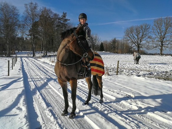 27935154_10155941647520851_2040413894_n