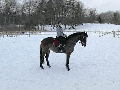 28191211_10155967153825851_310004107_n