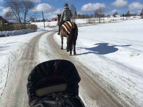 28906983_10215993825026444_1072754559_n