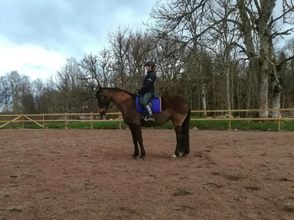 31301934_10156152626345851_5613050518139043840_n