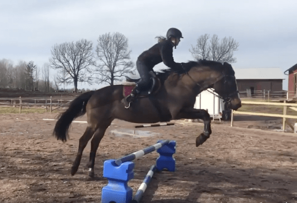 Skärmavbild 2018-04-07 kl. 20.09.03