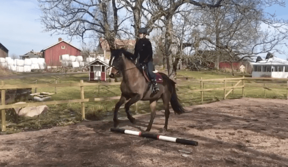 Skärmavbild 2018-04-07 kl. 20.12.08