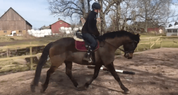 Skärmavbild 2018-04-07 kl. 20.12.49