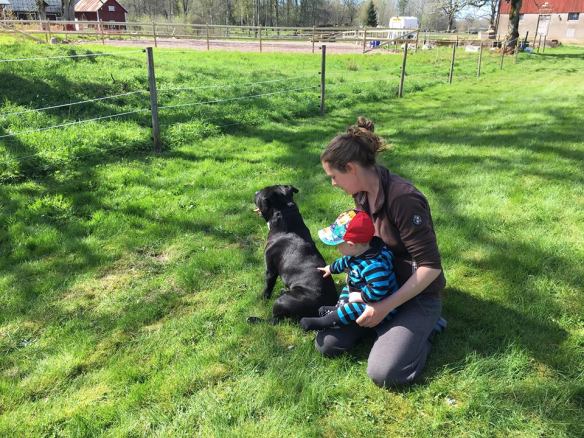 31531648_995795170572632_2048501466624163840_n