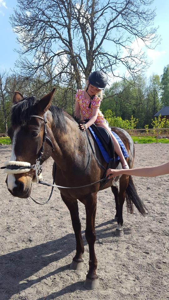 32191022_10216428706338205_1681297031424901120_n