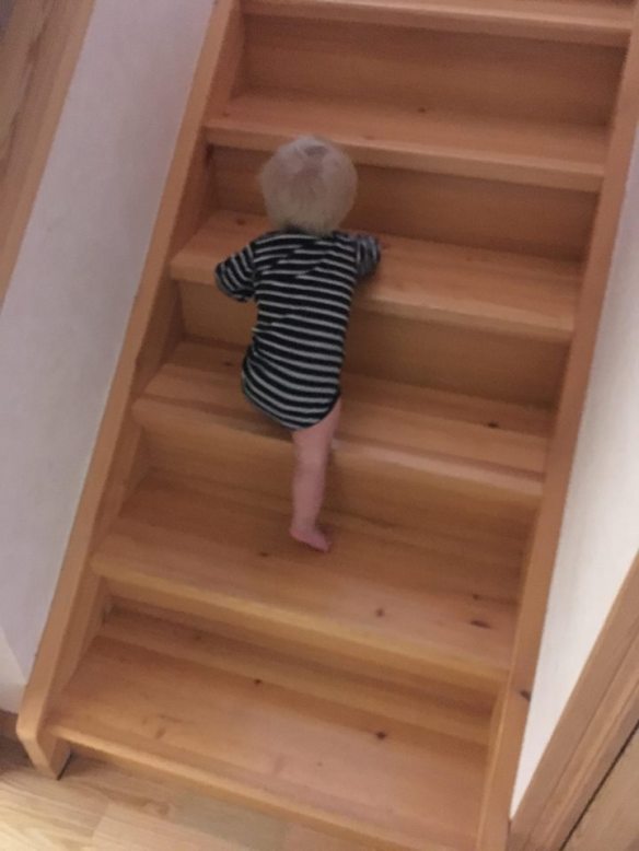 35241425_10216675443786487_2873250644767014912_n