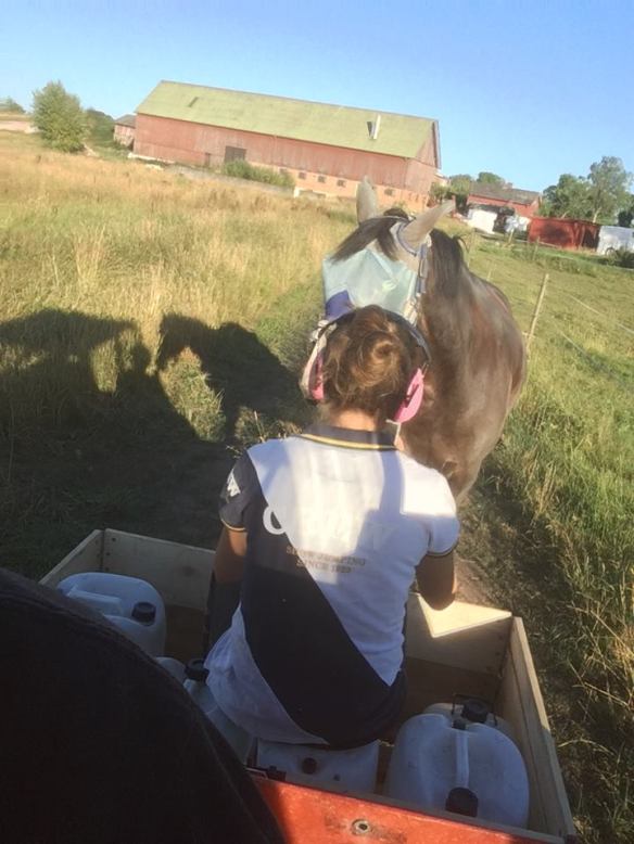 37728333_10216997305192821_5255323181681475584_n