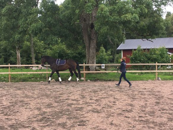 41678551_298480150945817_3121512725277048832_n