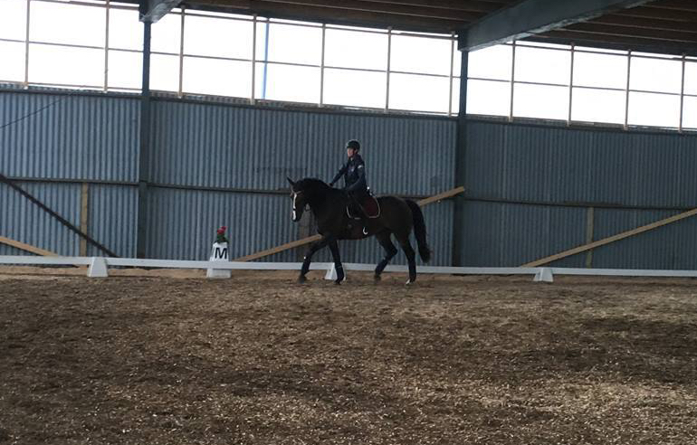 41856926_530912230700357_291124058827784192_n