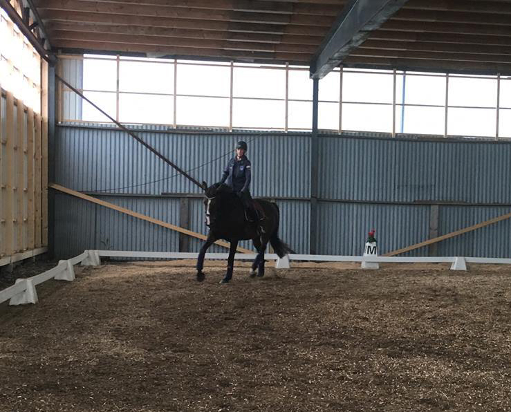 41949914_504180200048672_84885162407493632_n