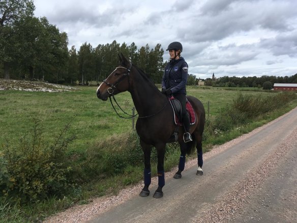 42059440_241745293174806_3744566884830281728_n