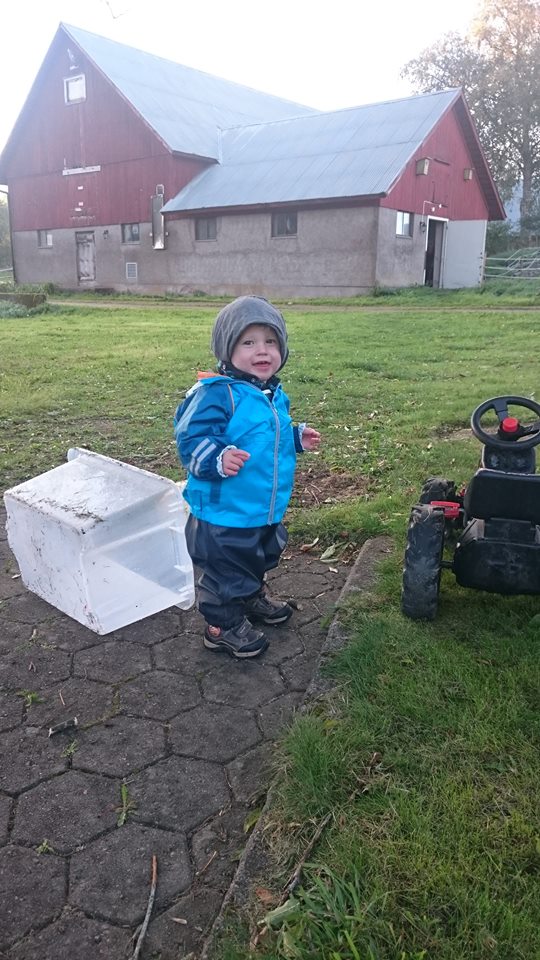 42314319_321769715285583_8174752601850511360_n