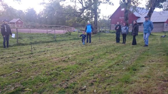 42322640_870771909713453_7313411397562400768_n