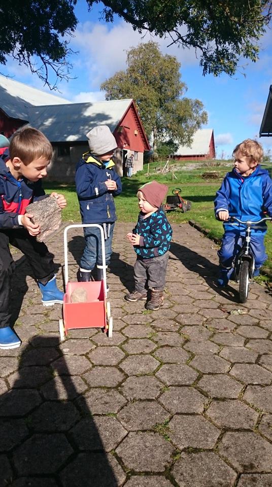 42333023_238312683697712_2689421066631118848_n