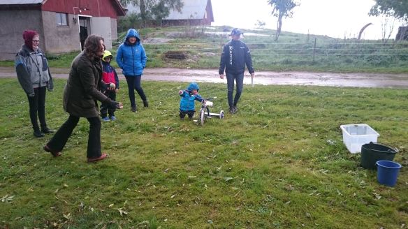 42443919_318794608909534_6396619962164707328_n