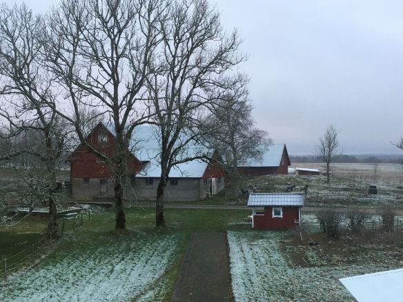 46513856_1155087484650118_2942231676421406720_n